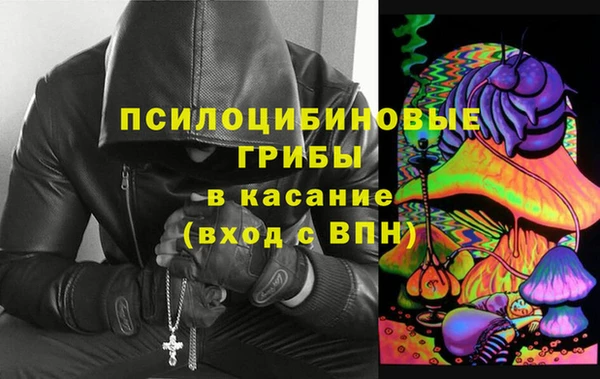 PSILOCYBIN Покров
