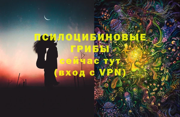 экстази Пестово