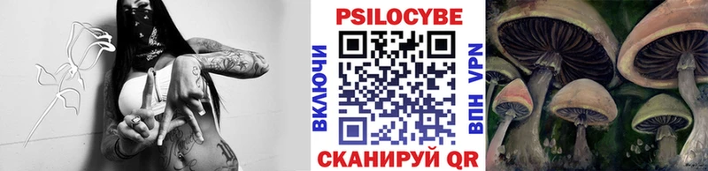 Галлюциногенные грибы Cubensis Каргат