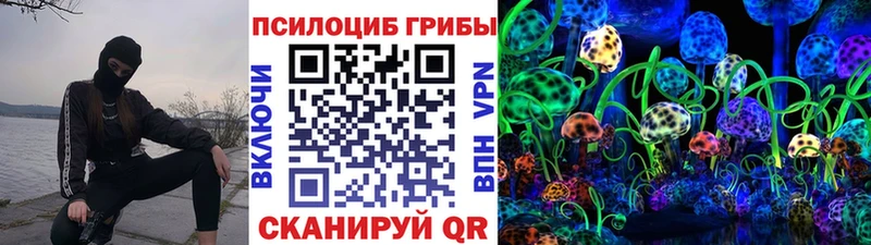 Псилоцибиновые грибы MAGIC MUSHROOMS Каргат